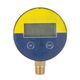 Pressure Gauge 63mm 1/4 Lower Digital Packaged